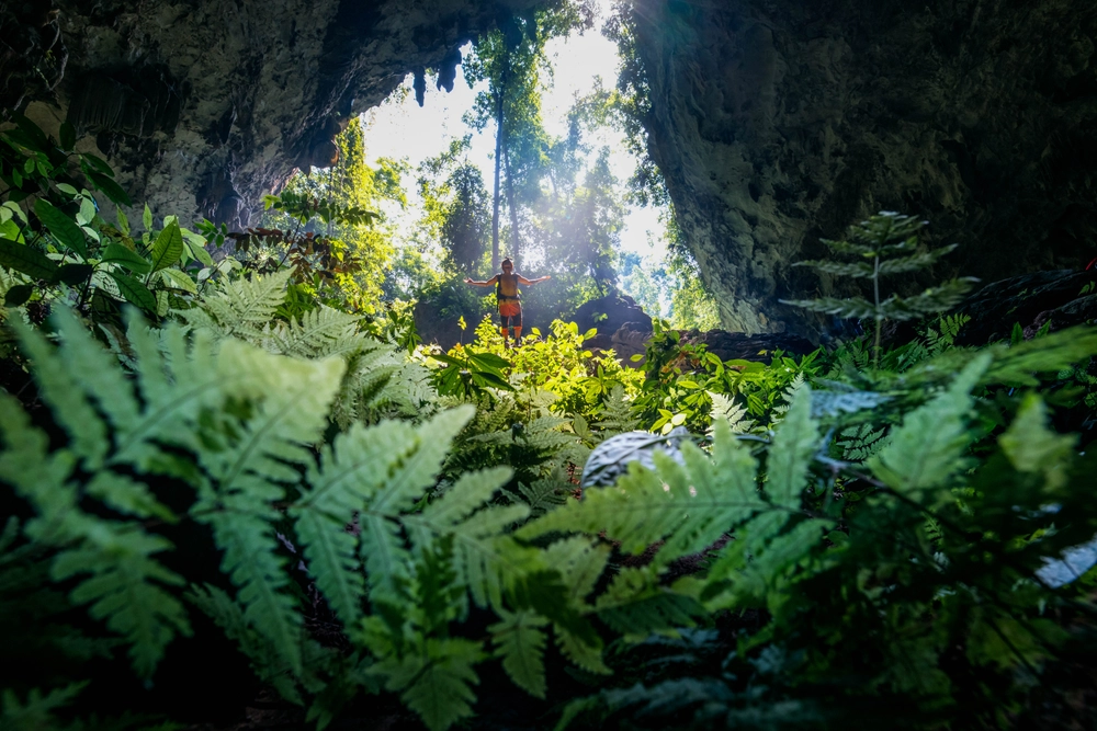 The Mesmerizing Caves of Phong Nha A Journey into Nature’s Underground Wonders